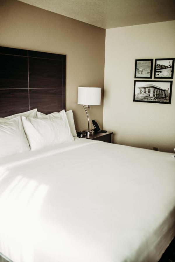 Cobblestone Hotel & Suites International Falls Dış mekan fotoğraf