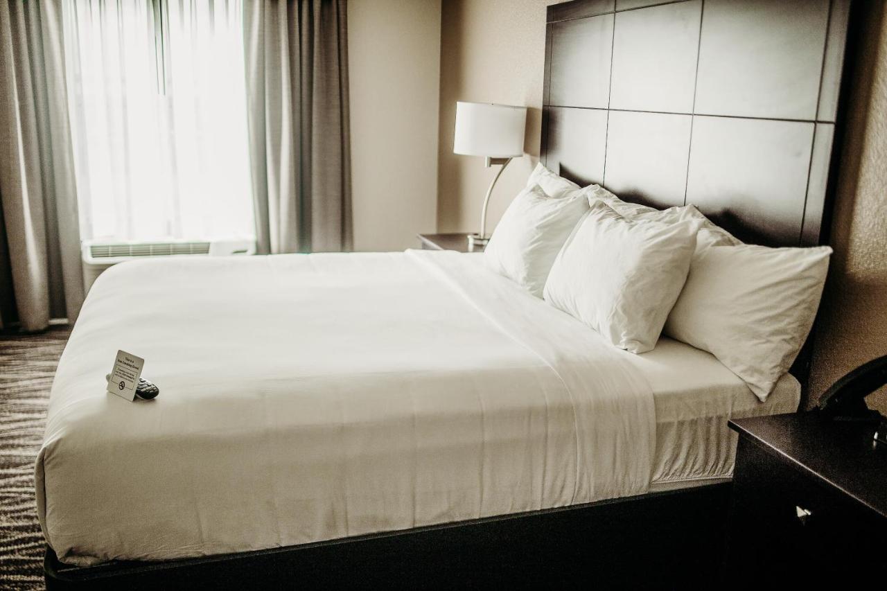 Cobblestone Hotel & Suites International Falls Dış mekan fotoğraf
